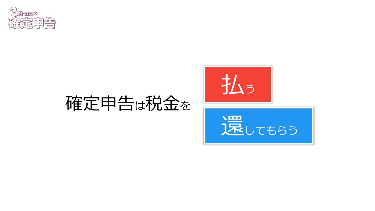 確定申告は税金を返してもらうこともできる